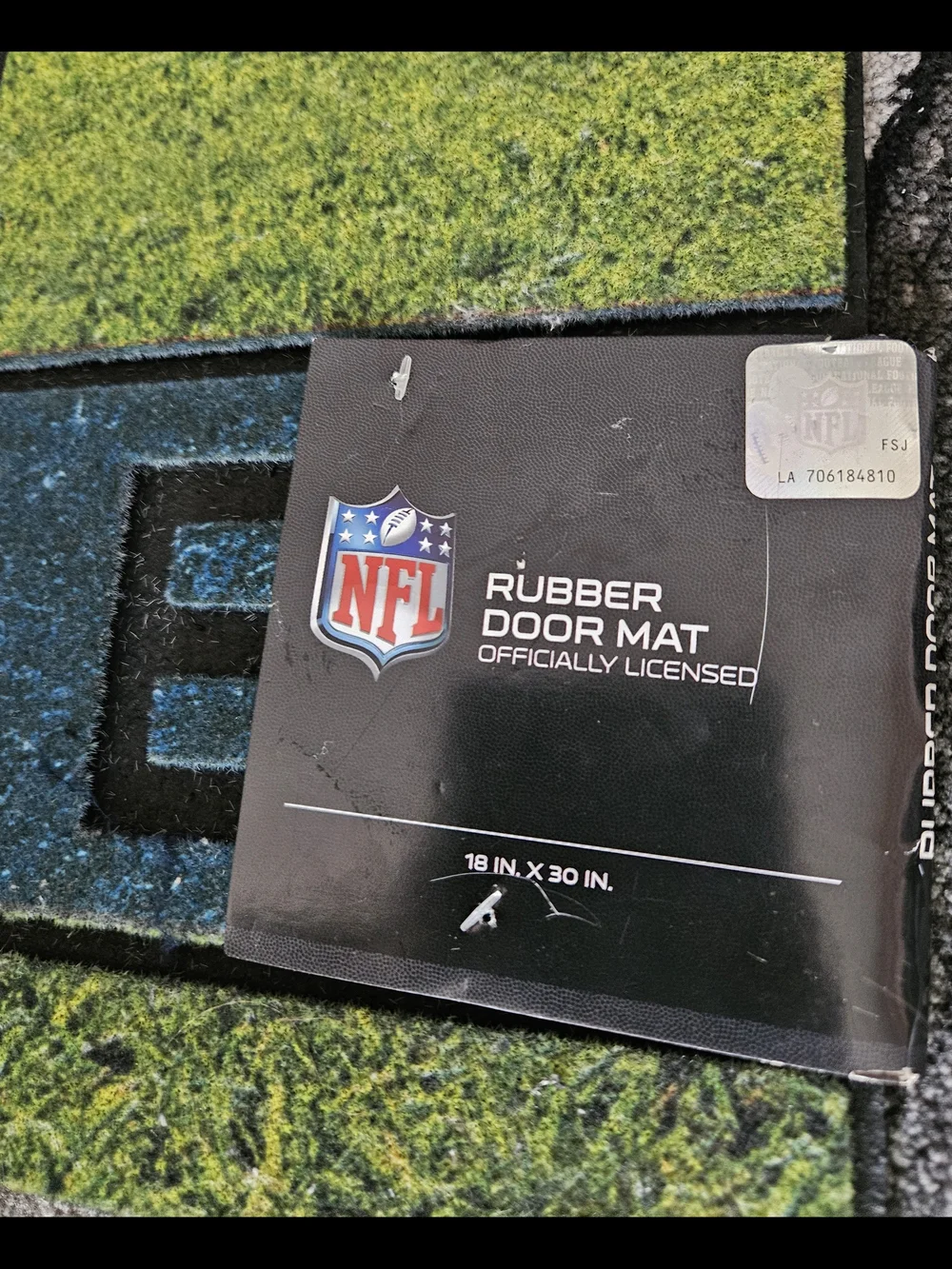Fanmats Philadelphia Eagles crumb rubber door mat